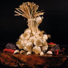 Taşköprü Sarımsağı