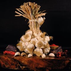 Taşköprü Sarımsağı